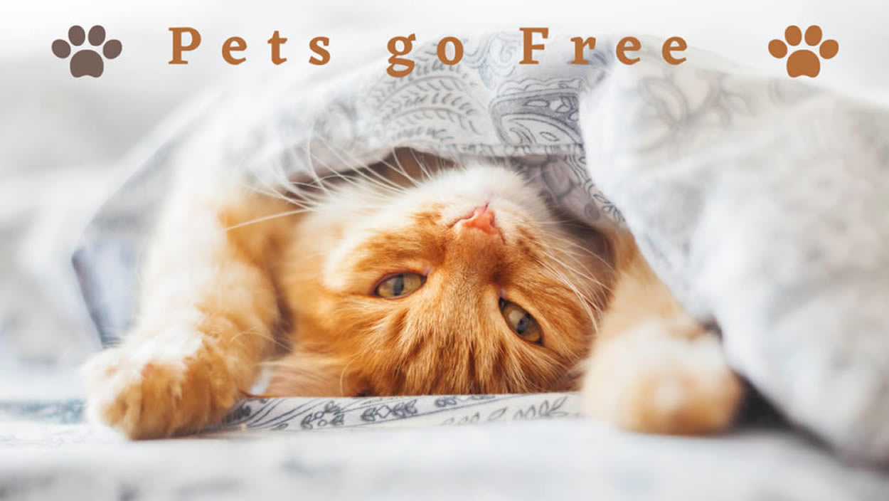Pets Go Free Offer Banner v2